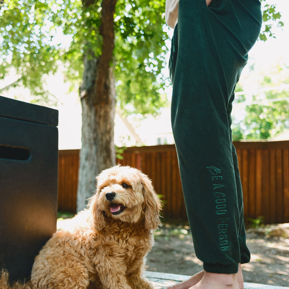 
                      
                        B & G x BAGP Sweatpants - Emerald
                      
                    